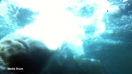 Playful Bear Gives Children A Fright