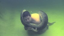 Cet homme nage tranquillement dans une piscine avec un énorme anaconda
