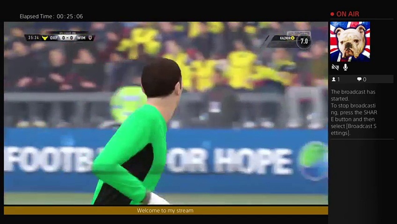 Fifa (11)