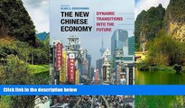 Download [PDF]  The New Chinese Economy: Dynamic Transitions into the Future Elias Grivoyannis