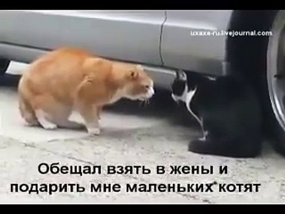 Ты обещал...