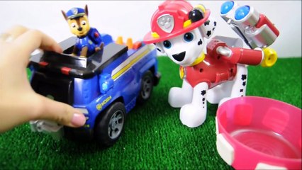 PAW PATROL ITALIANO Chase e Marshall salvano due bambini giocattoli Toys Episodi completi