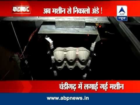 Chandigarh gets India's first egg-vending machine