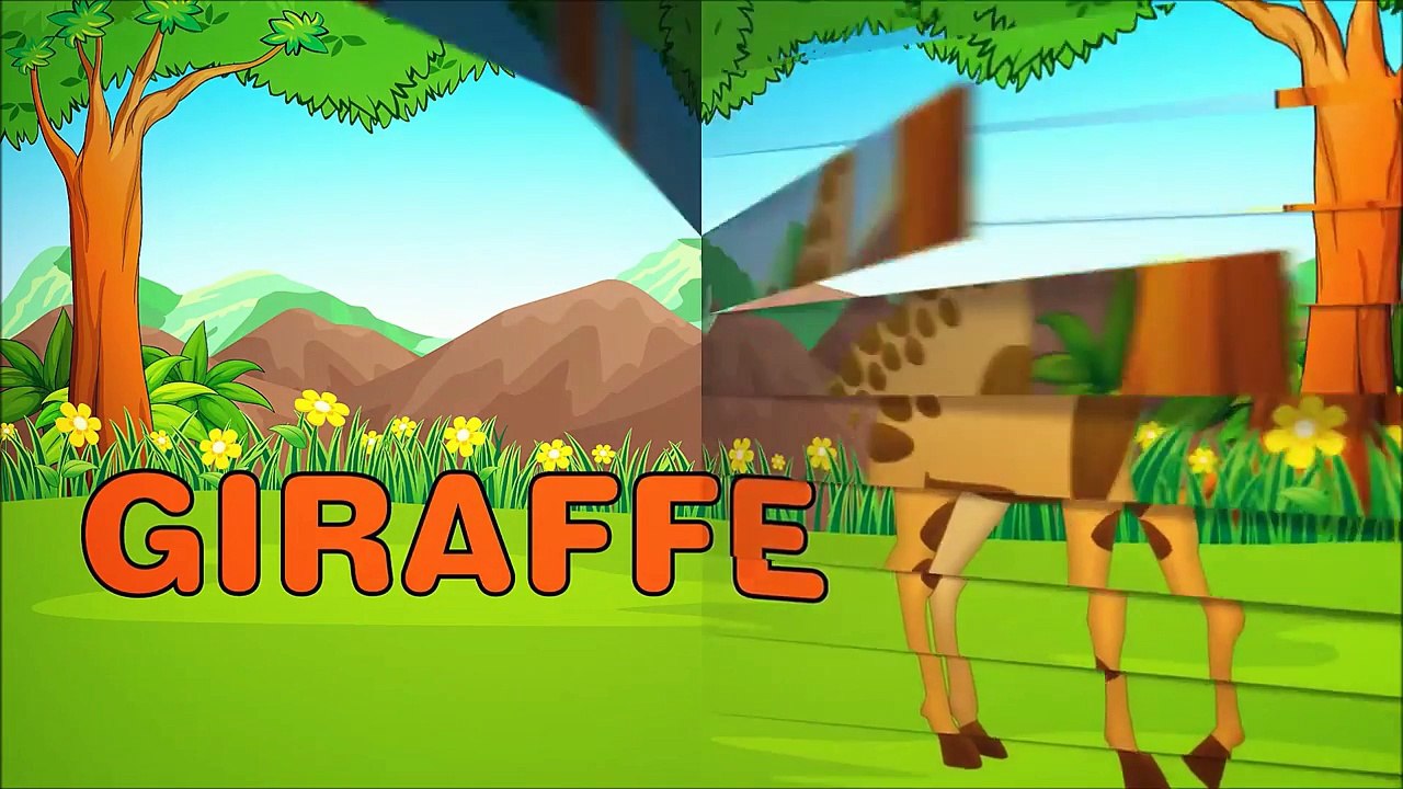 First Words - Animals - Baby First Words Video Book - Learning Zoo Animals Names