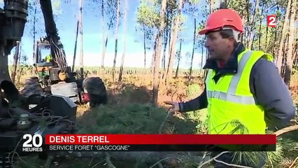 Fêtes de Noël : comment est fabriqué le papier cadeau ?
