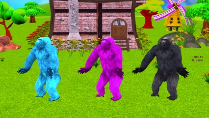 Skeleton Man Wolf Dinosaurs Vs Gorilla Becomes Lion Elephant | Colors Gorilla Finger Family Rhymes