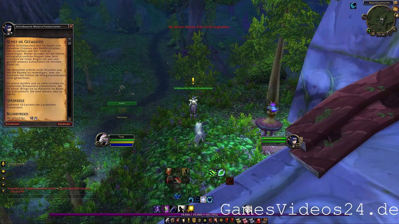 World of Warcraft Quest: Rettet die Gefallenen