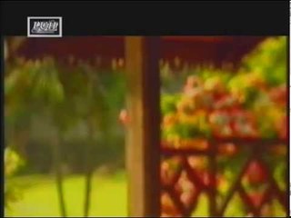 Lalau Ngelansa - Jimmy Nyaing