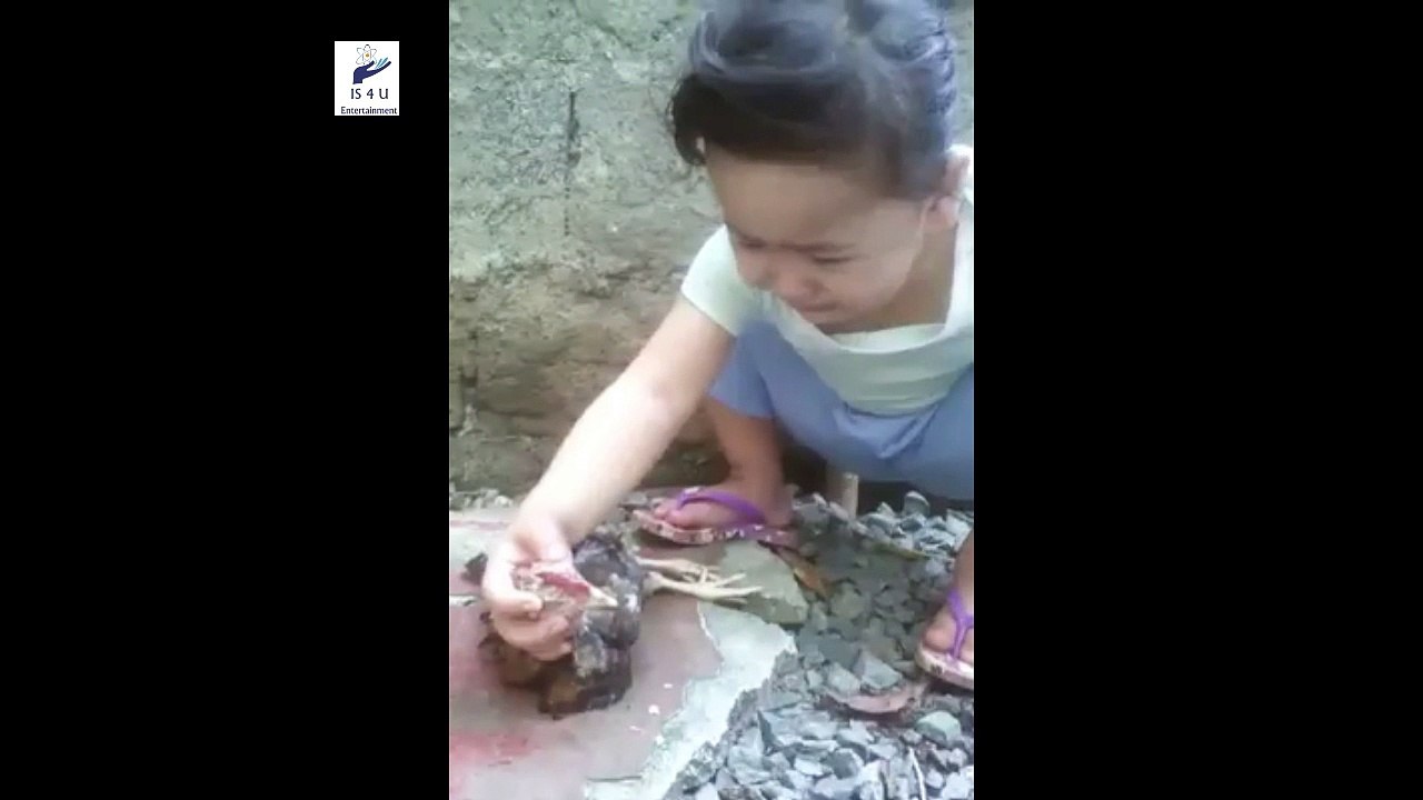 2016 Viral Video