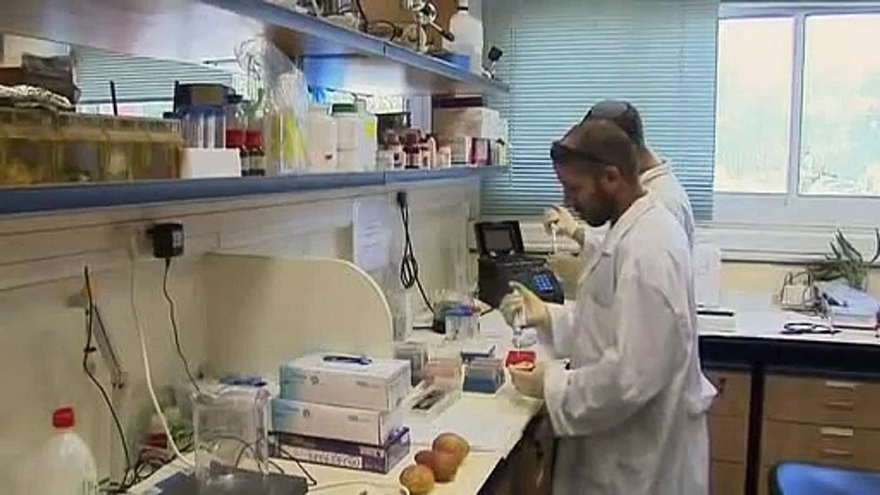 Use A Potato To Keep Your Room Lit For Over A Month  Read more: http://ilyke.com/use-a-potato-to-keep-your-room-lit-for-