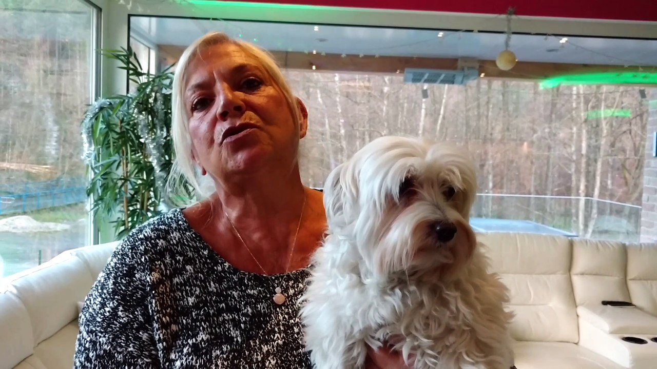 Trois-Ponts : son chien saisi par la douane