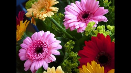 Hiç Sevmedinki-Mine Koşan