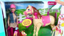 Barbie Saddle N Ride Horse Jump And Ride Pony Barbie Doll Toy Review by DisneyCarToys
