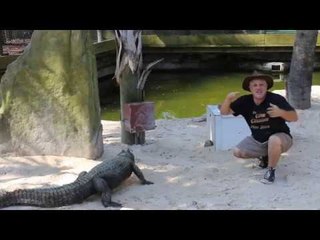 Gator Enthusiast Tries Out Cosplaying in the Enclosure