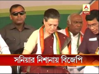 Sonia Gandhi attacked BJP on FDI and other issues