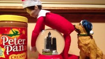 Best Most Twisted Elf on the Shelf Holiday Ideas