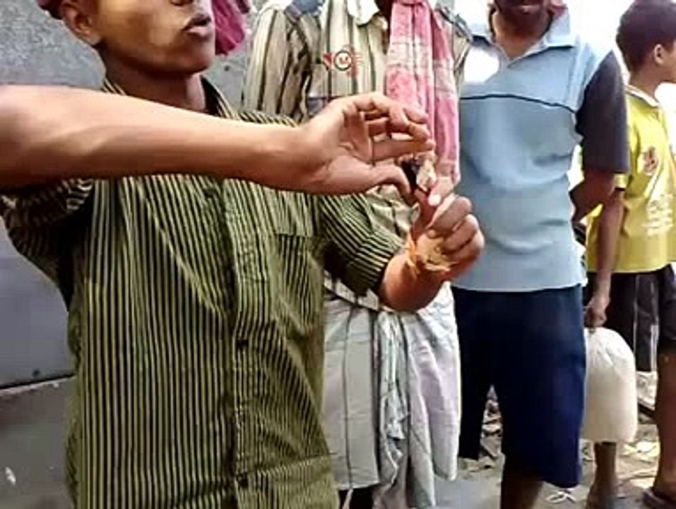 Funny Creative chicken Seller
