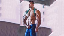 Bodybuilding Motivation - TOP 6 Aesthetic Bodybuilders 2016 - 2017