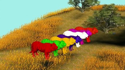 Colors Dinosaur Vs Tiger Vs Bear Kids Cartoon Video Color Gorilla T Rex Attack Kids 3D Action Movie