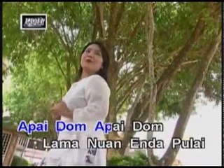 Apai Dom