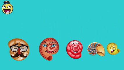 Baby Song | Seashell Finger Family | Preschool Nursery Rhymes