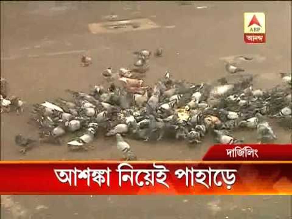 Tourists visit Darjeeling defying political agitation