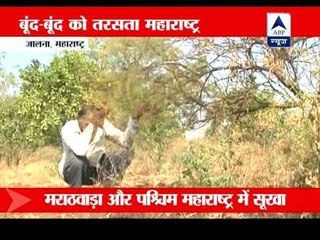 ABP News exclusive on drought situation in Maharashtra