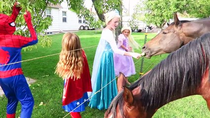 Spiderman Becomes a Gumball MACHINE LOVE & Frozen Elsa Prank - Superheroes Funny