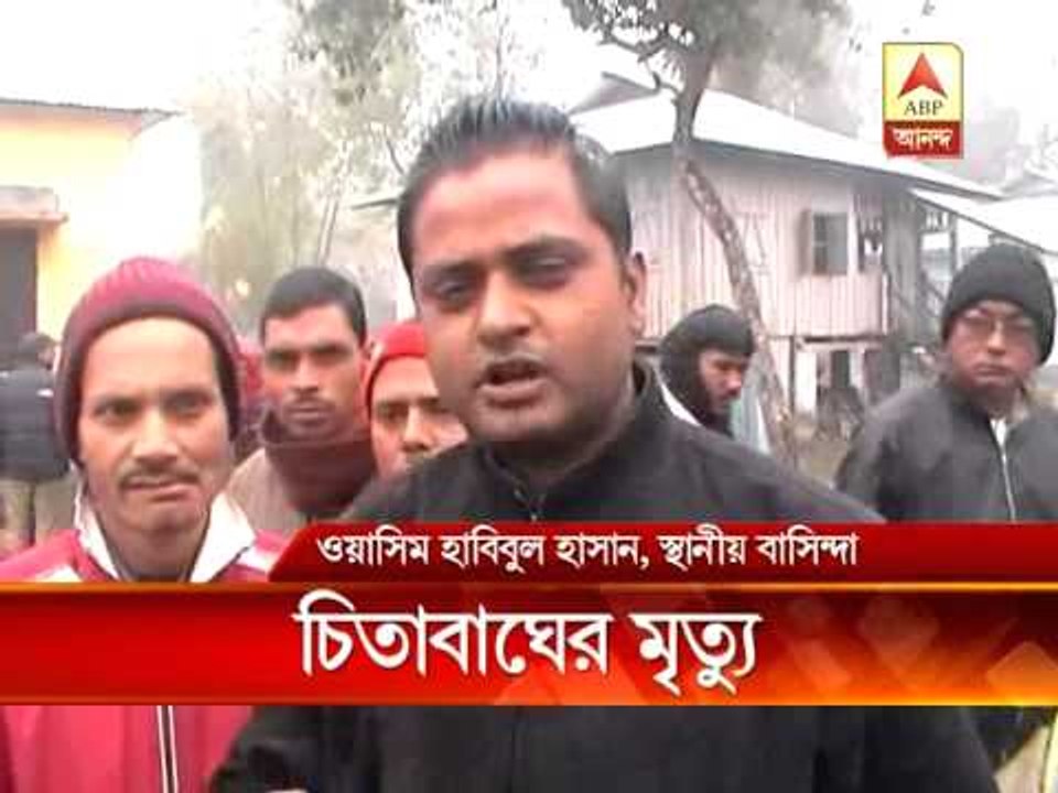Jalpaiguri Leopard killed