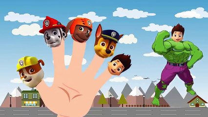 Paw Patrol Hulk Finger Family Nursery Rhymes Lyric Kids Songs Baby Videos