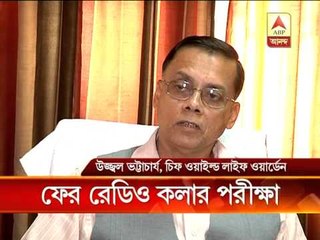 tiger radio caller test again in sunderban