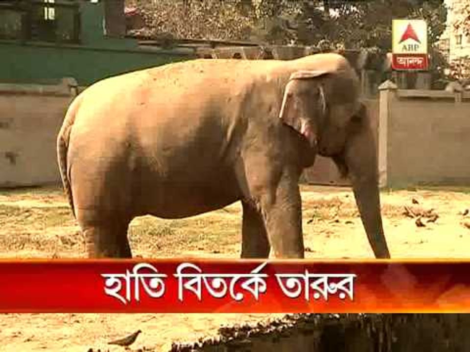 Shashi Tharoor now in elephant controversy