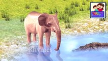 short movie - animated cartoons for kids- crocodile attacks from water while elephant drinking water