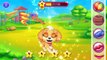 My Cute Little Pet | Kids Learn to Care Cute Little Puppy | Android & iOS Gameplay Video