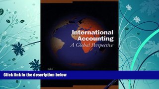 Price International Accounting: A Global Perspective Zafar Iqbal For Kindle