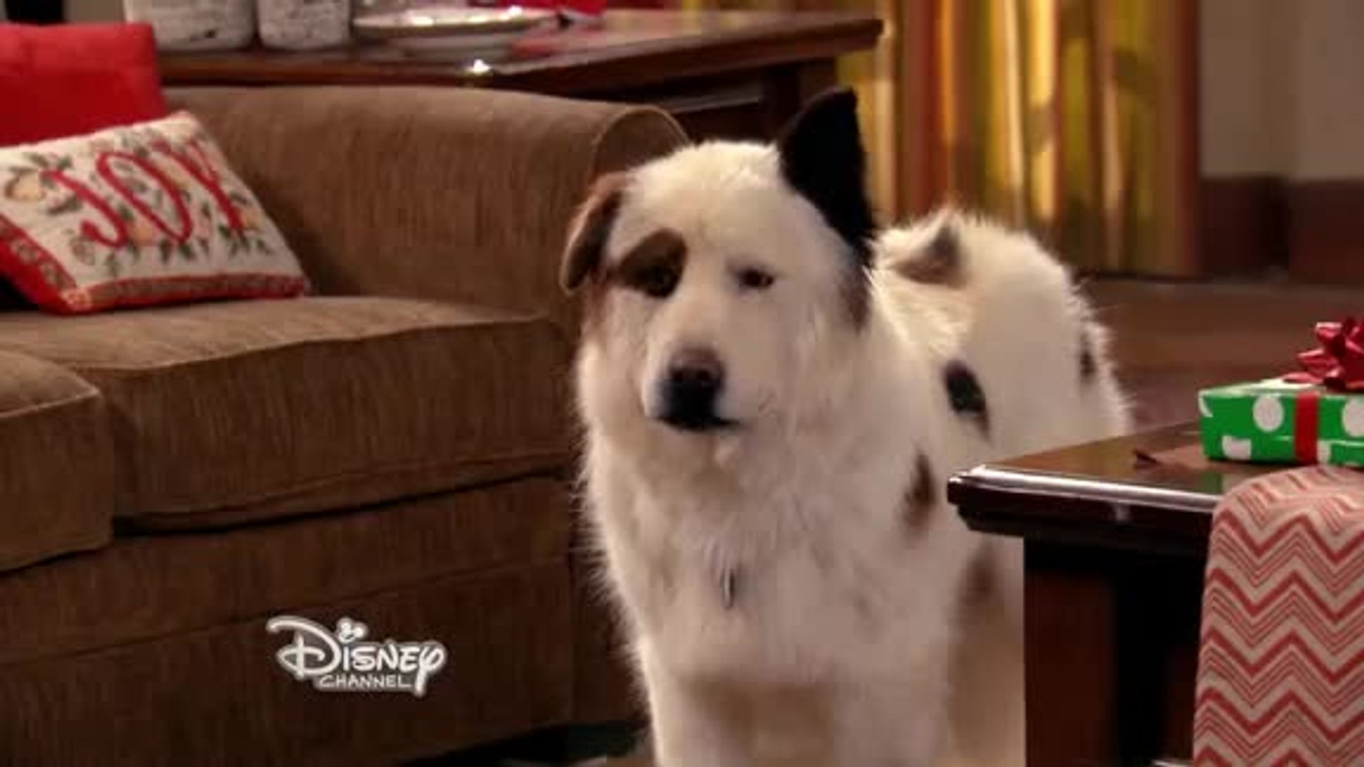Is Stan From Dog With A Blog Still Alive