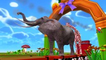 Train Carrying Animals And Singing Finger Family Children Nursery Rhymes