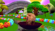 Lion Cartoon FInger Family Children Nursery Rhymes And Wee Willie Winkie Rhymes For Children