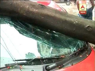 Road block due to last night heavy rain, tree fails on car