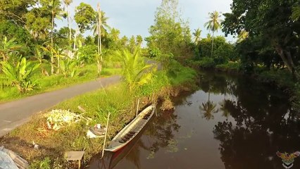 Drone Dji Phantom View GPU Manggatang Tarung