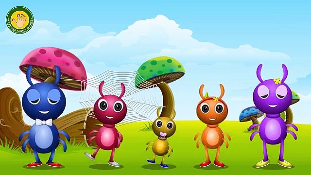 Itsy Bitsy Spider Finger Family |Spider Finger Family Nursery Rhymes For Children | Spider Song