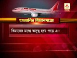 Munmun Sen demands for  privatisation of air india