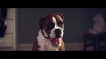 John Lewis Christmas Advert 2016 - #BusterTheBoxer