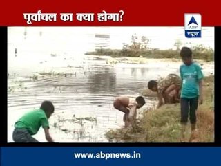 ABP Special: Exploring the Unique Mathematics of Poorvanchal 🧮