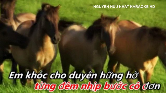 Karaoke Tình Bơ Vơ song ca với Thanh Tuyền