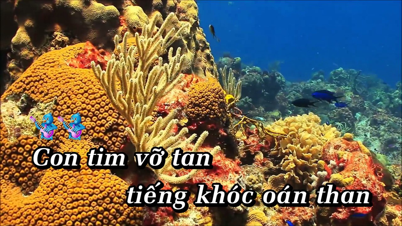 Con Tim Tan Vỡ | Phan Mạnh Quỳnh | Karaoke Beat HD