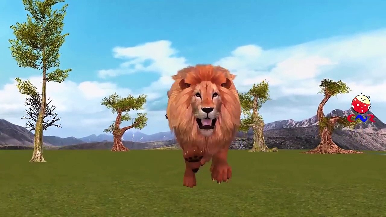 Lion Vs Buffalo Amazing Fight | Wild Animals Attacks | Lions Chases Deer | Lion Vs Deer Death Battle