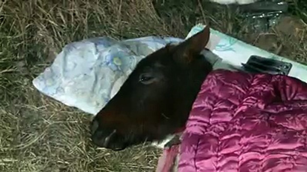 Manz lovit de masina, pazit de mama lui pe marginea drumului, in Dolj.