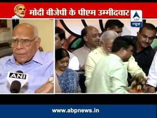 I feel the country's future is in safe hands: Jethmalani