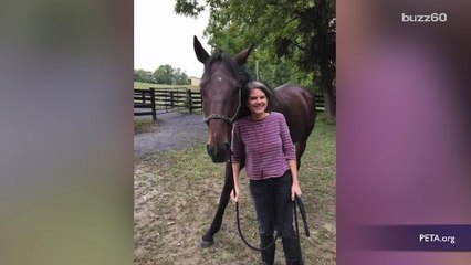 'Charlie Quest' The Rescued Racing Horse Finds A Family This Holiday Season